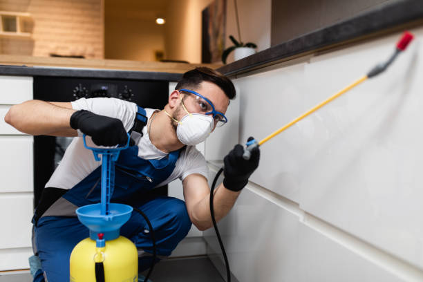 Best Pest Inspection Near Me  in Fort Meade, FL