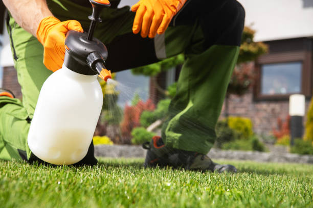 Best Wasp Removal Services  in Fort Meade, FL