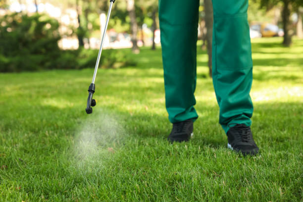Best Pest Control Near Me  in Fort Meade, FL