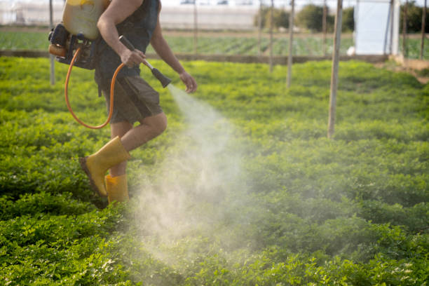  Fort Meade, FL Pest Control Pros