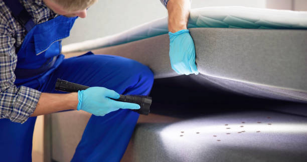 Best Bed Bug Extermination  in Fort Meade, FL